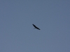 img_5761.jpg