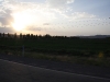 img_5937.jpg