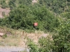 img_6141.jpg