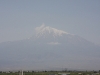 img_6382.jpg