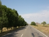 img_6724.jpg